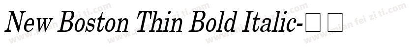 New Boston Thin Bold Italic字体转换
